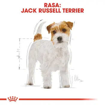 ROYAL CANIN Jack Russell Terrier Adult 7,5kg