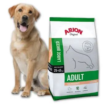 Arion Original Adult Large Breed Salmon&Rice 12kg