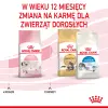 ROYAL CANIN Kitten 10kg