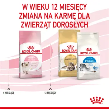 ROYAL CANIN Kitten 10kg