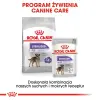 ROYAL CANIN CCN Sterilised Mini Pasztet 12x85g