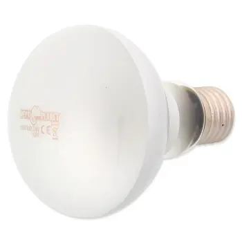 REPTI PLANET Żarówka Daylight Frosted 100W