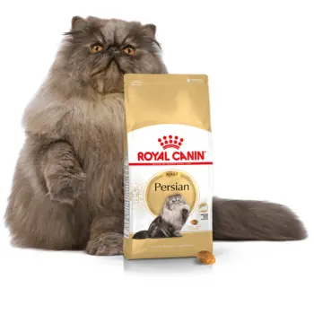 ROYAL CANIN Persian Adult 10kg+2kg