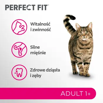 PERFECT FIT Adult 1+ Z Łososiem 750g