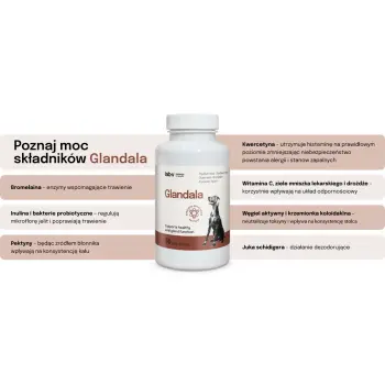 Lab-v Glandala Wsparcie Gruczołów Okołoodbytowych i Przewodu Pokarmowego 90 Kapsułek