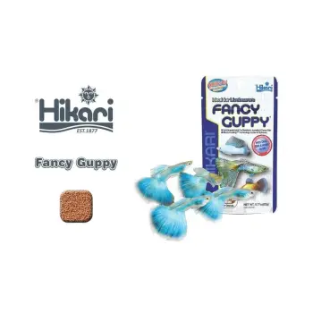 Hikari Tropical Fancy Guppy 22g