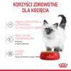 ROYAL CANIN Kitten Instinctive W Galaretce 12x85g