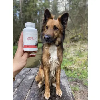 Lab-v Cardio Regeneration 90 kapsułek – wsparcie serca dla psów i kotów