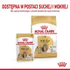 ROYAL CANIN Shih Tzu Adult 12x85g