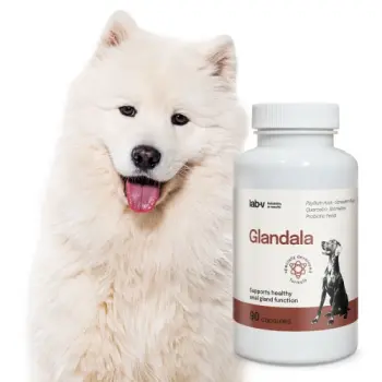 Lab-v Glandala Wsparcie Gruczołów Okołoodbytowych i Przewodu Pokarmowego 90 Kapsułek