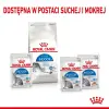 ROYAL CANIN Indoor Sterilised Pasztet 12x85g