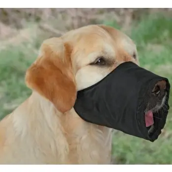 Trixie Kaganiec XS-S