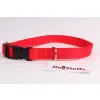 DogStuffs Obroża z plastikową klamrą 25mm/34-60cm czerwona