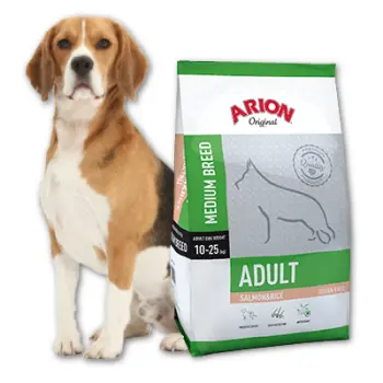 Arion Original Adult Medium Breed Salmon & Rice 12kg