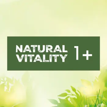 Perfect Fit™ Natural Vitality – sucha karma pełnoporcjowa dla dorosłych kotów, z kurczakiem i indykiem – 6kg