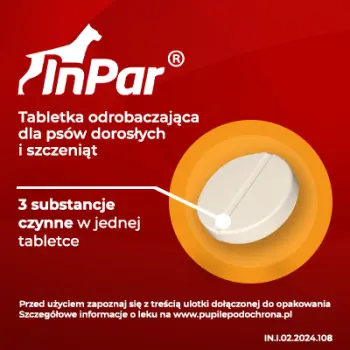 Vet-Agro InPar Tabletki Odrobaczające Dla Psa 6szt