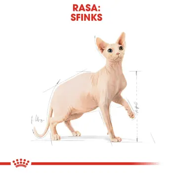 ROYAL CANIN Sphynx Adult 10kg