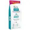 Brit Care Grain free Adult Salmon & Potato 12kg + 2kg