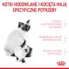 ROYAL CANIN Mother & Babycat 2kg