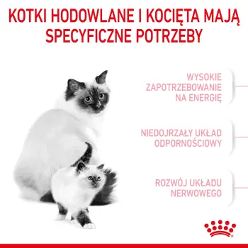 ROYAL CANIN Mother & Baby Cat 400g