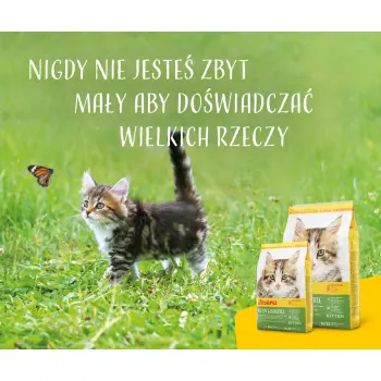 Josera Kitten Grainfree 2kg