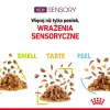 ROYAL CANIN Sensory Smell Kawałki W Sosie 12x85g