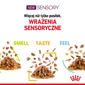 ROYAL CANIN Sensory Smell Kawałki W Sosie 12x85g