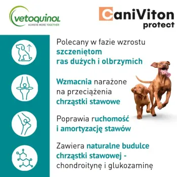 Vetoquinol Caniviton Protect 90szt