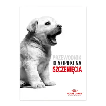 ROYAL CANIN Wyprawka dla szczenięcia YORK PUPPY+ kupon rabatowy 20zł!!!