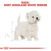 ROYAL CANIN West Highland White Terrier Adult 500g