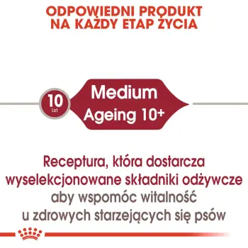 ROYAL CANIN Medium Ageing 10+ 10x140g