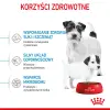 ROYAL CANIN Mini Starter Mother & Babydog 8,5kg