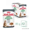 ROYAL CANIN Digest Sensitive 12x85g