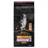 Purina Pro Plan Medium & Large 7+ Sensitive Optiderma Łosoś I Ryż 14kg