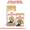 ROYAL CANIN Persian Adult 4kg