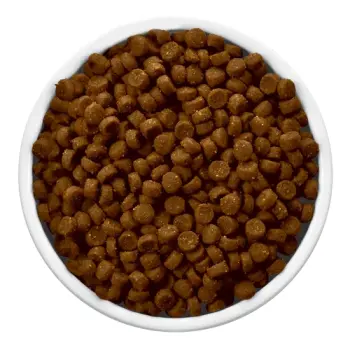 Hill's PD Prescription Diet Feline i/d 1,5kg