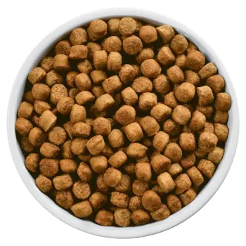 Hill's PD Prescription Diet Canine w/d 12kg