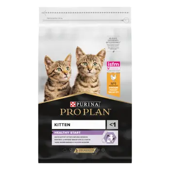 Purina Pro Plan Original Kitten Kurczak Z Ryżem 10kg