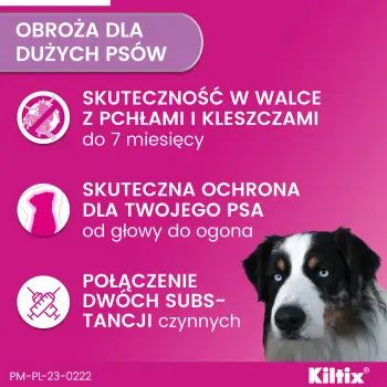 Bayer Kiltix Obroża Na Kleszcze I Pchły Dla Psa 70cm