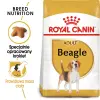 ROYAL CANIN Beagle Adult 3kg