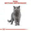 ROYAL CANIN British Shorthair Adult 10kg