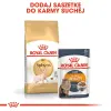 ROYAL CANIN Sphynx Adult 10kg