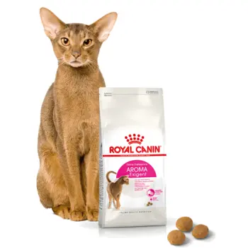 ROYAL CANIN Exigent Aromatic Attraction 33 10kg