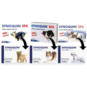 VetPlus Synoquin Efa Medium Breed 30tab