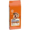 PURINA Dog Chow Mature Senior Lamb 14kg