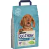 Purina Dog Chow Puppy Z Jagnięciną 2,5kg