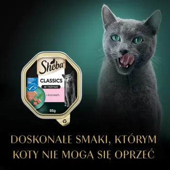 Sheba Classics Z Łososiem 85g