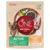 PURINA ONE Mini Active Kurczak, ryż - sucha karma dla psa - 800g