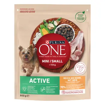 PURINA ONE Mini Active Kurczak, ryż - sucha karma dla psa - 800g