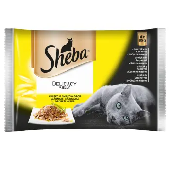 SHEBA saszetka Delicacy in Jelly Smaki Drobiowe - mokra karma dla kotów w galaretce (z kurczakiem, z indykiem, z kaczką, z drobiem) 56x85g